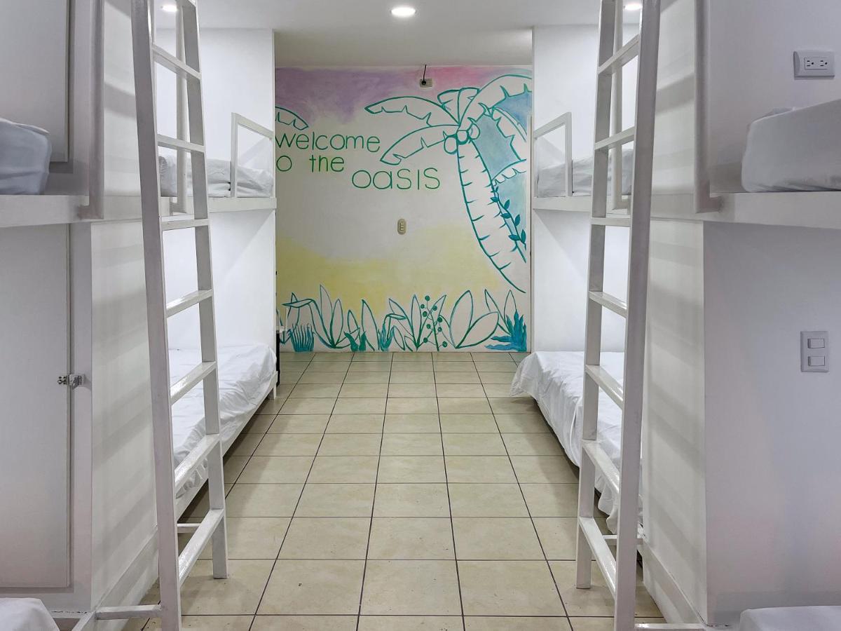 Sjo Oasis Hostel San Jose  Luaran gambar